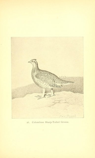 http://www.flickr.com/photos/biodivlibrary/8119303304/