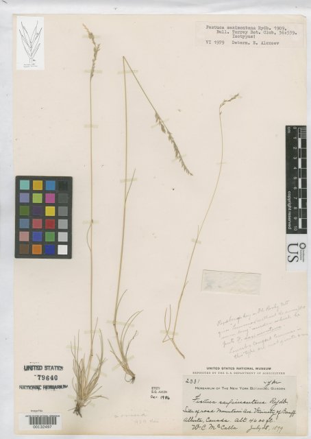 http://collections.mnh.si.edu/search/botany/?irn=2088284