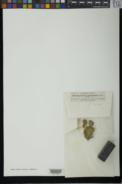 http://collections.mnh.si.edu/search/botany/?irn=2121537