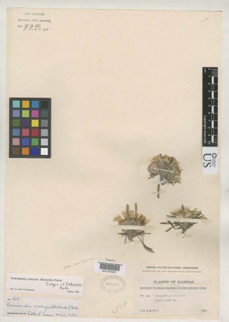 http://collections.mnh.si.edu/services/media.php?env=botany&irn=10103777