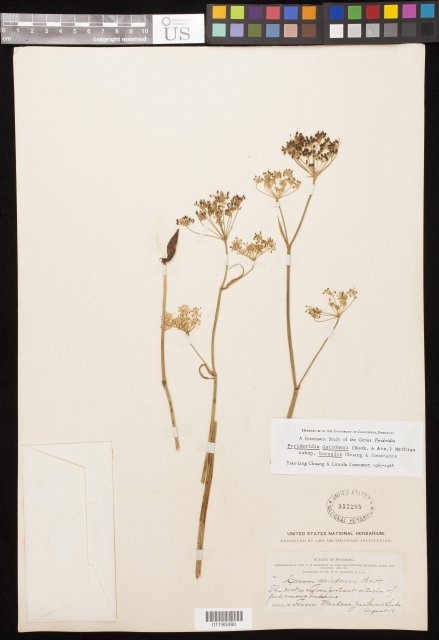 http://collections.mnh.si.edu/search/botany/?irn=10994820