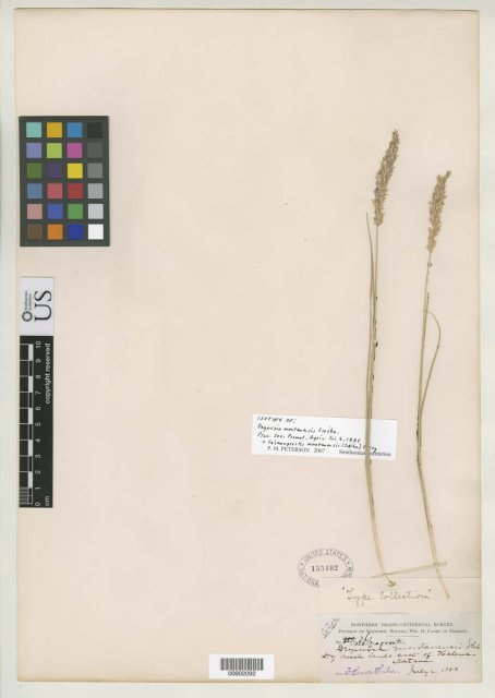 http://collections.mnh.si.edu/services/media.php?env=botany&irn=10137421