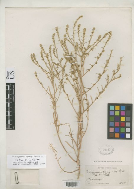 http://collections.mnh.si.edu/search/botany/?irn=2111781