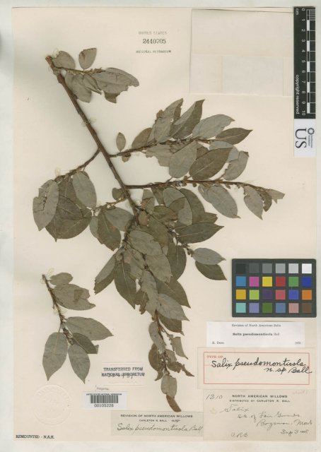 http://collections.mnh.si.edu/search/botany/?irn=2088724