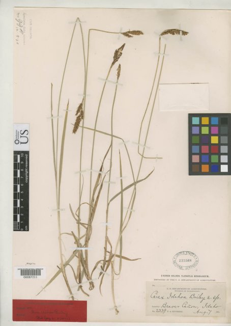 http://collections.mnh.si.edu/search/botany/?irn=2164375