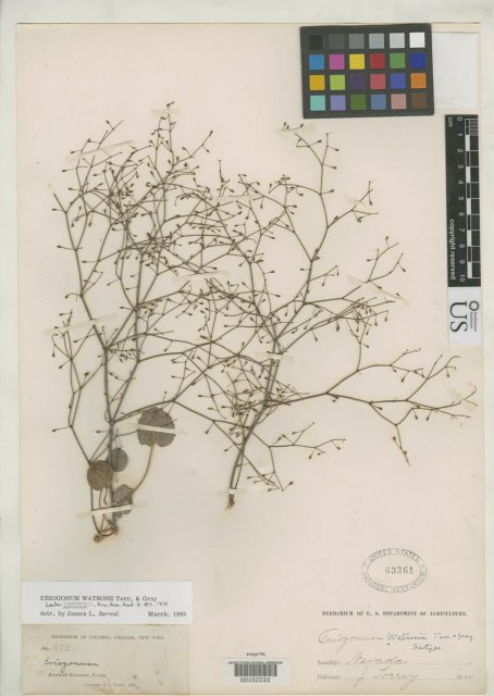 http://collections.mnh.si.edu/search/botany/?irn=2166864