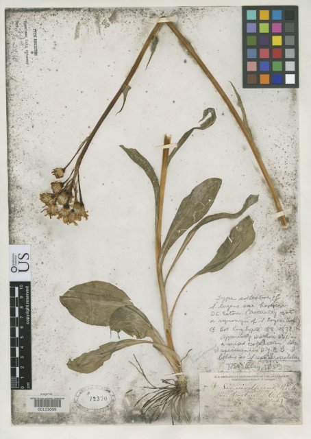 http://collections.mnh.si.edu/search/botany/?irn=2167214
