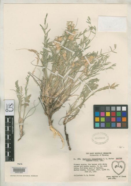 http://collections.mnh.si.edu/search/botany/?irn=2164317