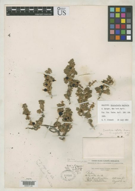 http://collections.mnh.si.edu/search/botany/?irn=2108669