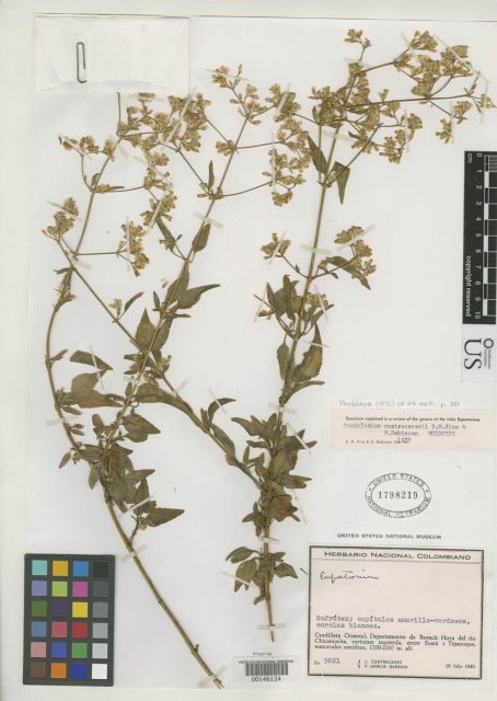 http://collections.mnh.si.edu/search/botany/?irn=2092070