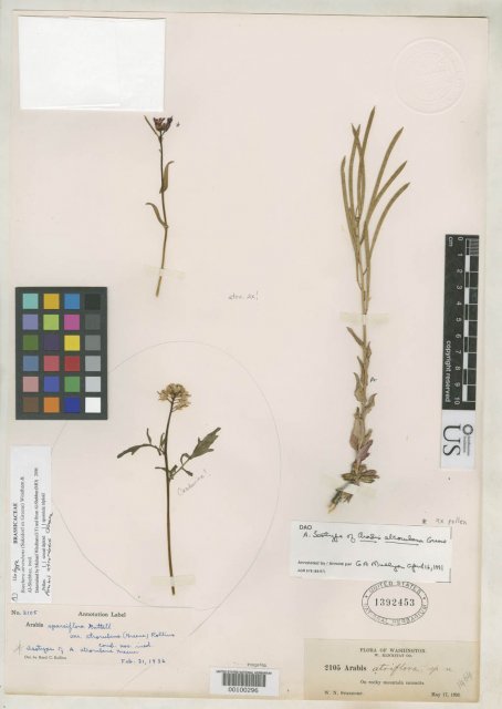 http://collections.mnh.si.edu/search/botany/?irn=2097757