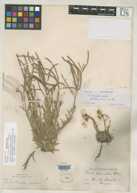 http://collections.mnh.si.edu/services/media.php?env=botany&irn=10127553