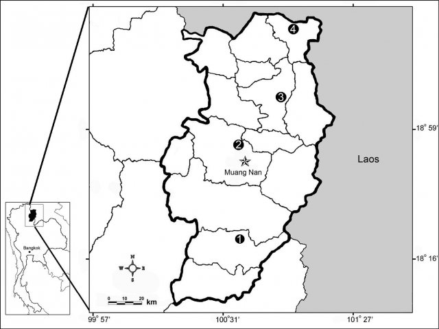 http://www.pensoft.net/journals/zookeys/article/1121/abstract/new-earthworm-species-of-the-genus-amynthas-kinberg-1867-from-thailand-clitellata-megascolecidae-