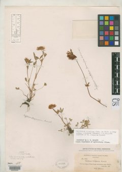http://collections.mnh.si.edu/search/botany/?irn=2094966