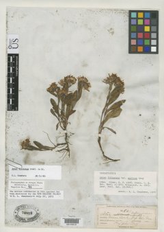 http://collections.mnh.si.edu/search/botany/?irn=2154120